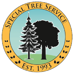 Special Tree Service | Removal | Trimming | La Cresenta | La Canada ...